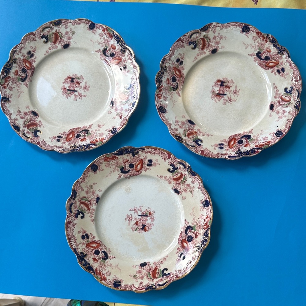 Antique dining plates by Royal Staffordhire hand painted by A.J.Wilkinson